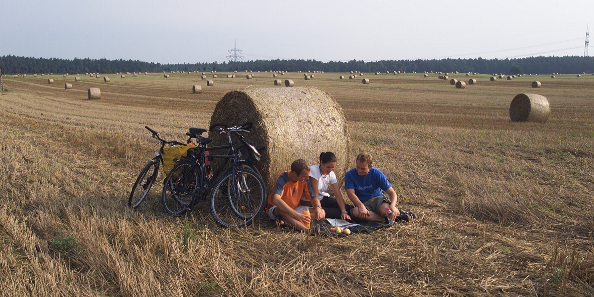 Ein Feld ist zu sehen mit Strohballen. Vor einem sitzen drei Radfahrer und schauen in eine Landkarte