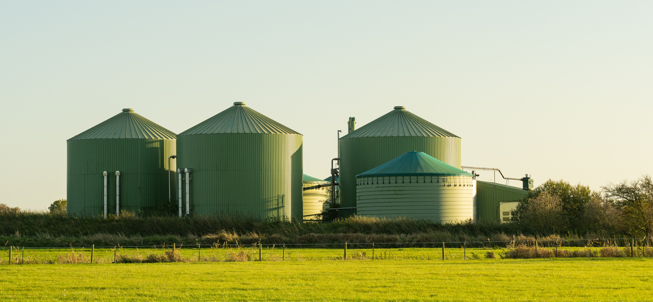 Blick auf die Silos und Tanks einer Biogasanlage im landwirtschaftlichen Raum. 