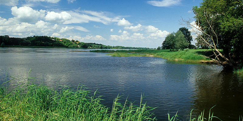 Eine ruhige Flusslandschaft an einem sonnigen Tag. Das Wasser des Flusses ist klar und spiegelt den blauen Himmel mit vereinzelten weißen Wolken wider. Am Ufer sind grüne Bäume und Sträucher zu sehen, und im Hintergrund erstrecken sich sanfte Hügel und Felder. Einige Gräser wachsen am Ufer und ragen ins Wasser hinein.