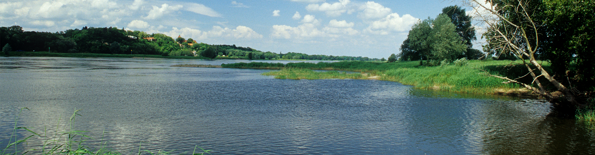 Eine ruhige Flusslandschaft an einem sonnigen Tag. Das Wasser des Flusses ist klar und spiegelt den blauen Himmel mit vereinzelten weißen Wolken wider. Am Ufer sind grüne Bäume und Sträucher zu sehen, und im Hintergrund erstrecken sich sanfte Hügel und Felder. Einige Gräser wachsen am Ufer und ragen ins Wasser hinein.