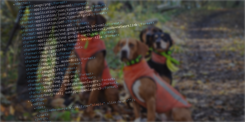 Vier Jagdhunde warten auf das Kommando. Mit ausschnitt von Programmiercode über das Bild.